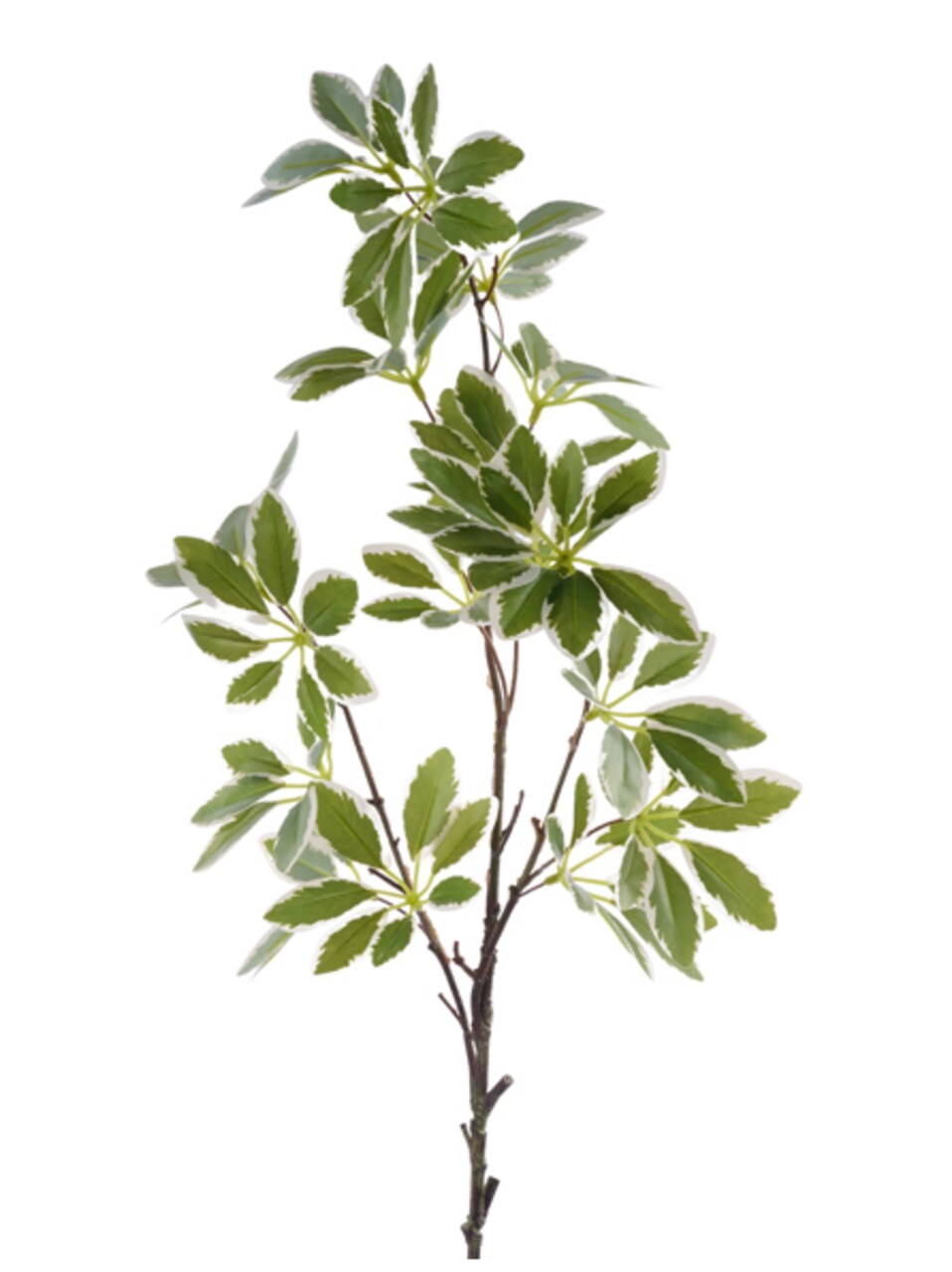 31.5" Artificial Schefflera Leaf Spray | Faux Greenery Stem for Floral Arrangements & Home Decor (FG662874)